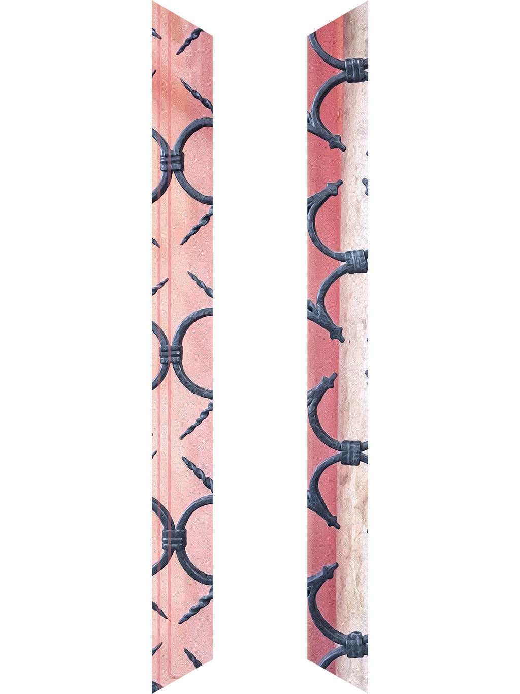 INCLUSION SKINNY Scarf