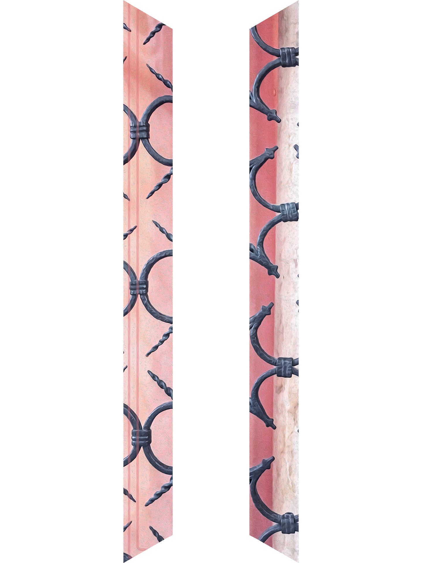 INCLUSION SKINNY Scarf